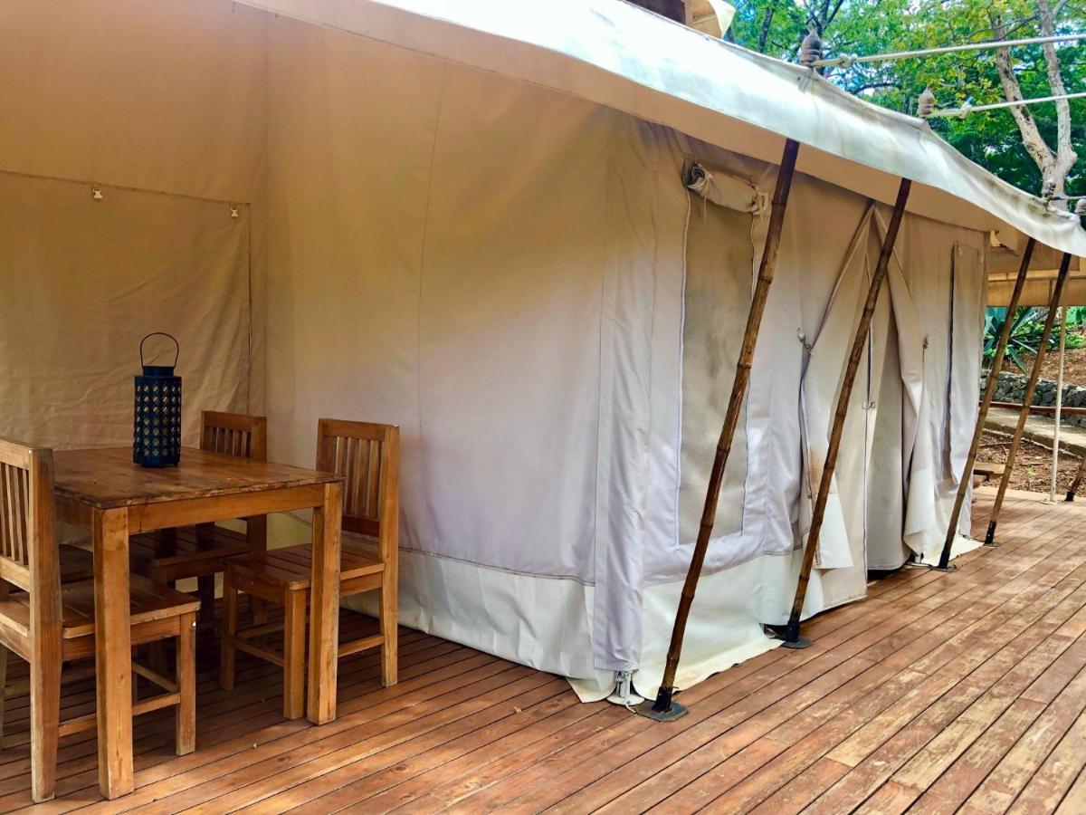 Hyla Nature Retreat Hotel San Jose Pinilla Luaran gambar