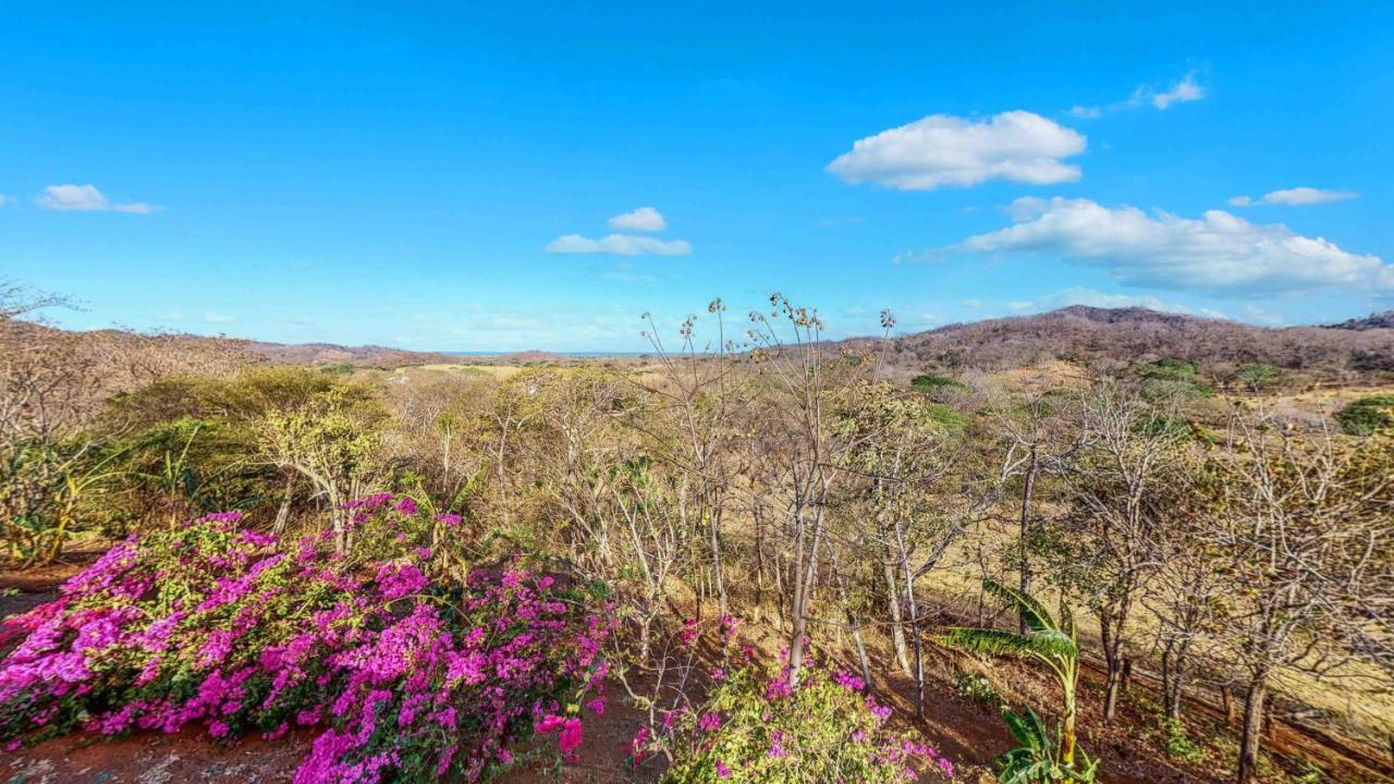 Hyla Nature Retreat Hotel San Jose Pinilla Luaran gambar